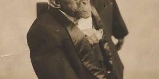 Imagem do grupo de WhatsApp CLÃ DA UNUS