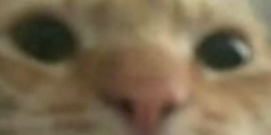 Imagem do grupo de WhatsApp So entrando pra saber Eheheh👻