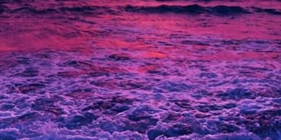 Imagem do grupo de WhatsApp MARKETING Digital📲