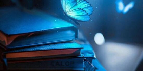 Imagem do grupo de WhatsApp Bibliófilo