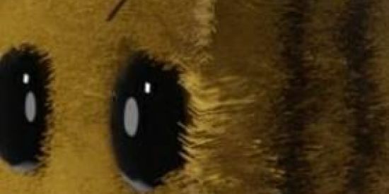 Imagem do grupo de WhatsApp O grupo