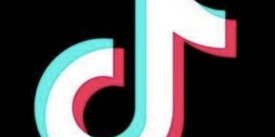 Imagem do grupo de WhatsApp Seguidores do tik tok