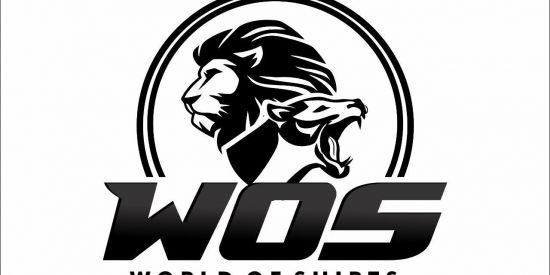 Imagem do grupo de WhatsApp Clientes World of shirts