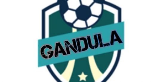 Imagem do grupo de WhatsApp Gandula Oficial