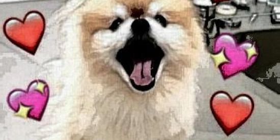 Imagem do grupo de WhatsApp FIGURINHAS E ZOEIRA