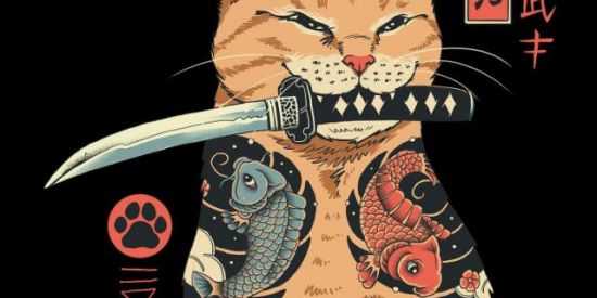 Imagem do grupo de WhatsApp Grupo onde ninguém vai entrar