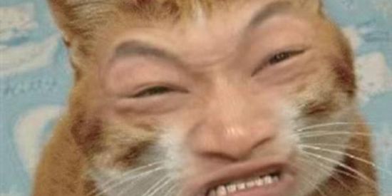 Imagem do grupo de WhatsApp figurinhas 🤡🤡