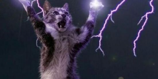 Imagem do grupo de WhatsApp MUTIRÃOBRS