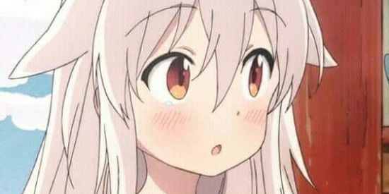 Imagem do grupo de WhatsApp 🈲Academ anime🈵