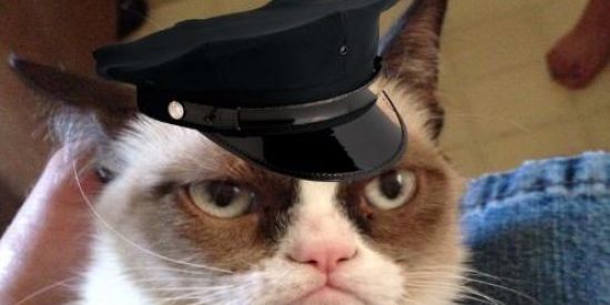 Imagem do grupo de WhatsApp Figurinhasfigurinhas