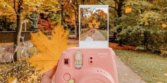 Imagem do grupo de WhatsApp Photos Tumblrs