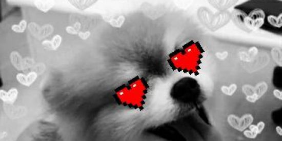 Imagem do grupo de WhatsApp FIGURINHAS E ZOEIRA