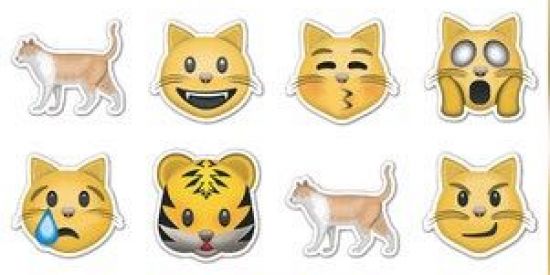 Imagem do grupo de WhatsApp 🃏♦️FIGURINHAS♦️🃏