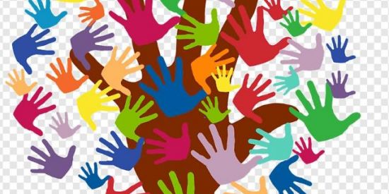 Imagem do grupo de WhatsApp Curso Pedagogia Sistêmica