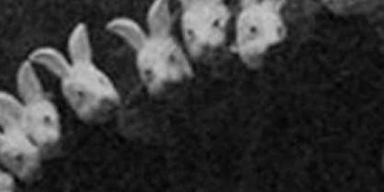 Imagem do grupo de WhatsApp Deep web