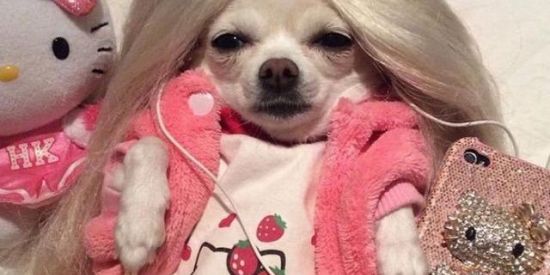 Imagem do grupo de WhatsApp recrutamento