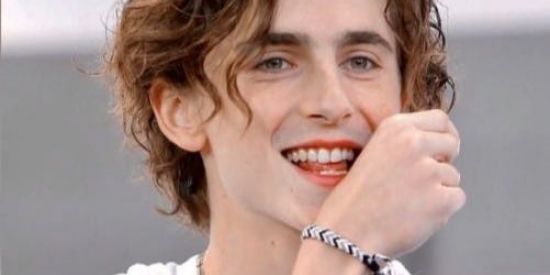 Imagem do grupo de WhatsApp Timothée Chalamet Brasil