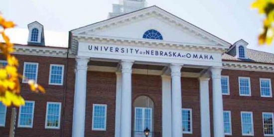 Imagem do grupo de WhatsApp Universidade RPG