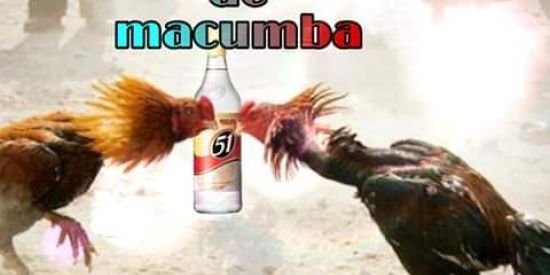 Grupo de WhatsApp frango de macumba