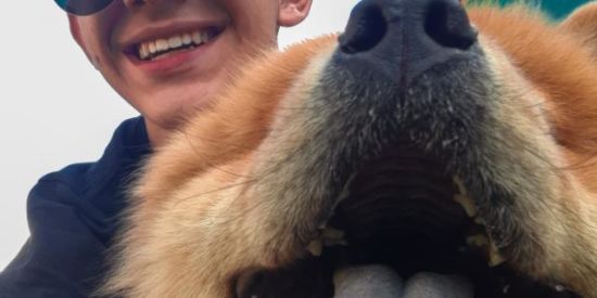 Imagem do grupo de WhatsApp João Medeiros