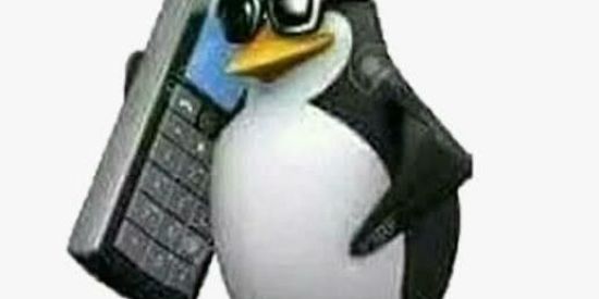 Imagem do grupo de WhatsApp 👺SHITPOSTING🥱