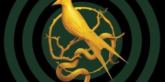 Imagem do grupo de WhatsApp Grupo de Jogos Vorazes