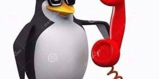 Imagem do grupo de WhatsApp NITROS SODA?😳😳😳✋