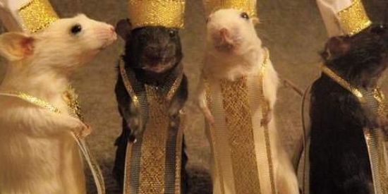 Imagem do grupo de WhatsApp Server Discord Dorime