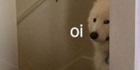 Imagem do grupo de WhatsApp 📍 FABRICANTES DE PROBLEMA 📍