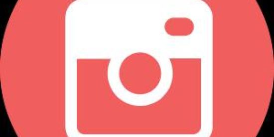 Imagem do grupo de WhatsApp 😎 Seguidores Insta 😎