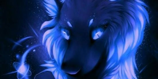 Imagem do grupo de WhatsApp Bonde Nw's