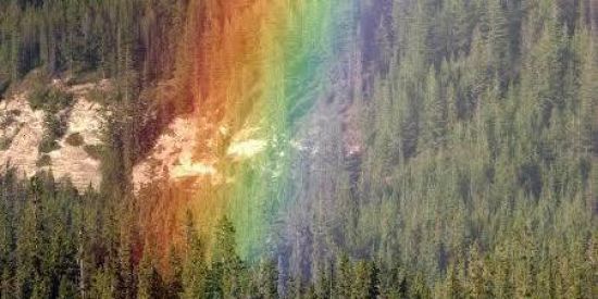 Imagem do grupo de WhatsApp ✅ProjetoseguidoresRR✅