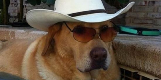 Imagem do grupo de WhatsApp 🗿 ǫ ᴜ ᴀ ʀ ᴇ ɴ ᴛ ᴇ ɴ ᴀ ᴅ ᴏ s 🗿