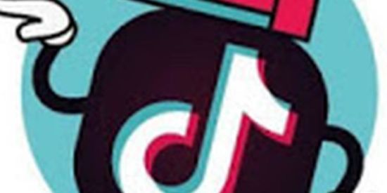 Imagem do grupo de WhatsApp TIK TOK fãs