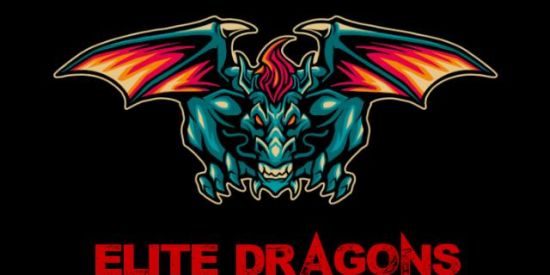 Imagem do grupo de WhatsApp RECRUTAMENTO DRAGONS