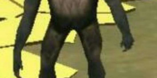 Imagem do grupo de WhatsApp Pai tá on