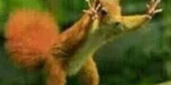 Imagem do grupo de WhatsApp Troca de figurinhas🤣🤩