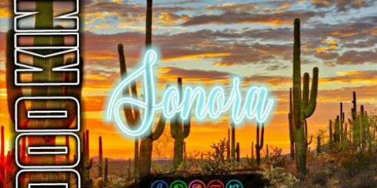 Imagem do grupo de WhatsApp Recrutamento BD'K