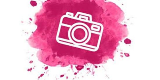 Imagem do grupo de WhatsApp disclosure_online