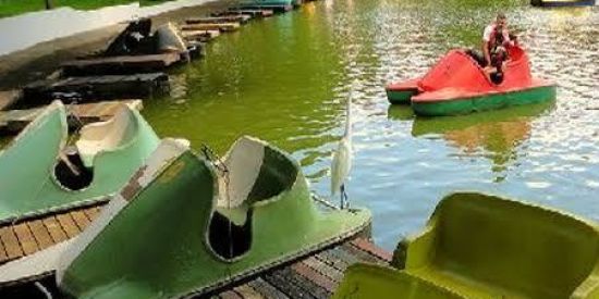 Imagem do grupo de WhatsApp Araras - Sp