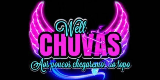 Imagem do grupo de WhatsApp ➊➒Well'Chuvas☔