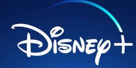 Imagem do grupo de WhatsApp Disneylândia ⛄