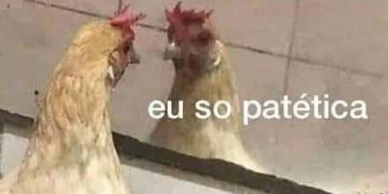 Imagem do grupo de WhatsApp Só Figurinhas 🃏