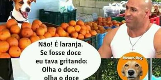 Imagem do grupo de WhatsApp Grupo de figurinhas