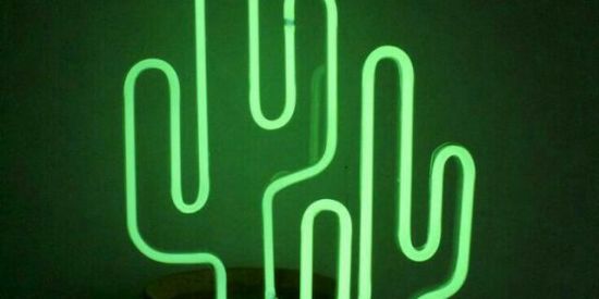 Imagem do grupo de WhatsApp Ganhar seguindo no Insta✌🏼