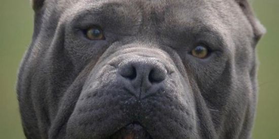 Imagem do grupo de WhatsApp Madrugouu✊🏻🔥❤