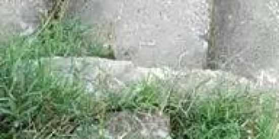 Imagem do grupo de WhatsApp Zueira👊😂