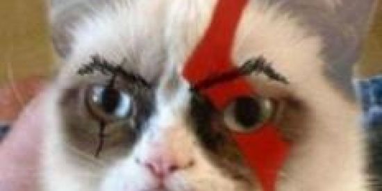 Imagem do grupo de WhatsApp FiGuRaS🧭