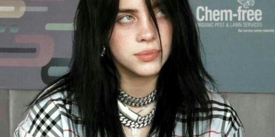 Imagem do grupo de WhatsApp Avocados 💚🥑