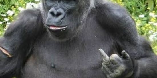 Imagem do grupo de WhatsApp Pai ta on